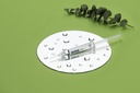 Blanqueamiento K-Bleach 16% Home de Kiyomi Dental